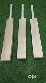 English willow bat