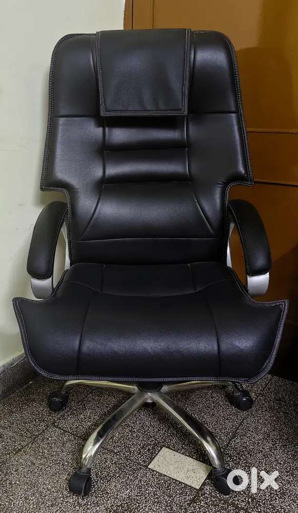 Director chair