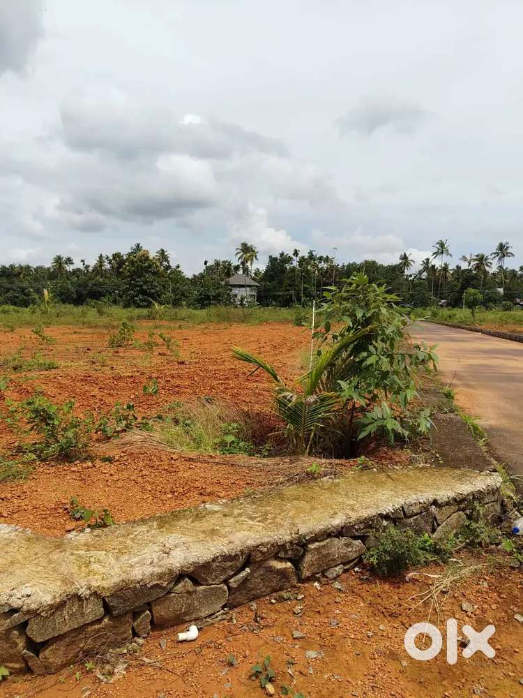 NEAR ANGAMALY APPOLLO HOSPITAL