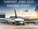 Job in indigo airlines 2025