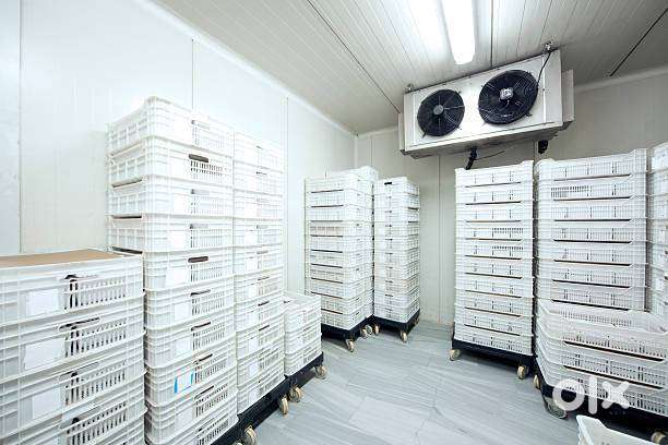 Female Cold WareHouse Staff for Baikampady Mangalore