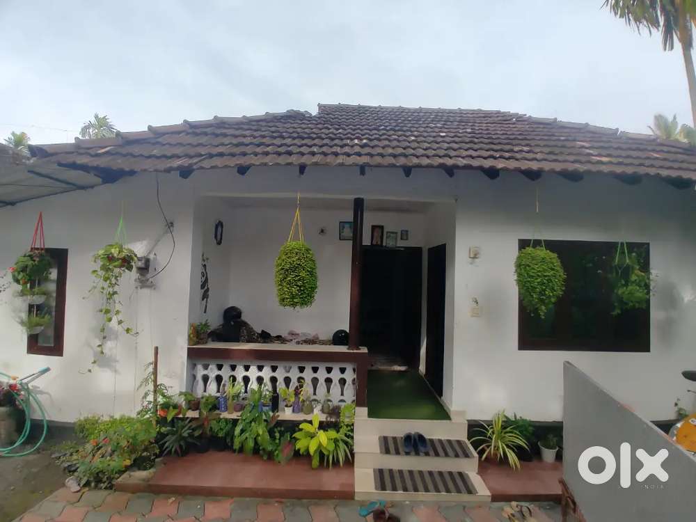 3 cent plot with Old good  house for sale