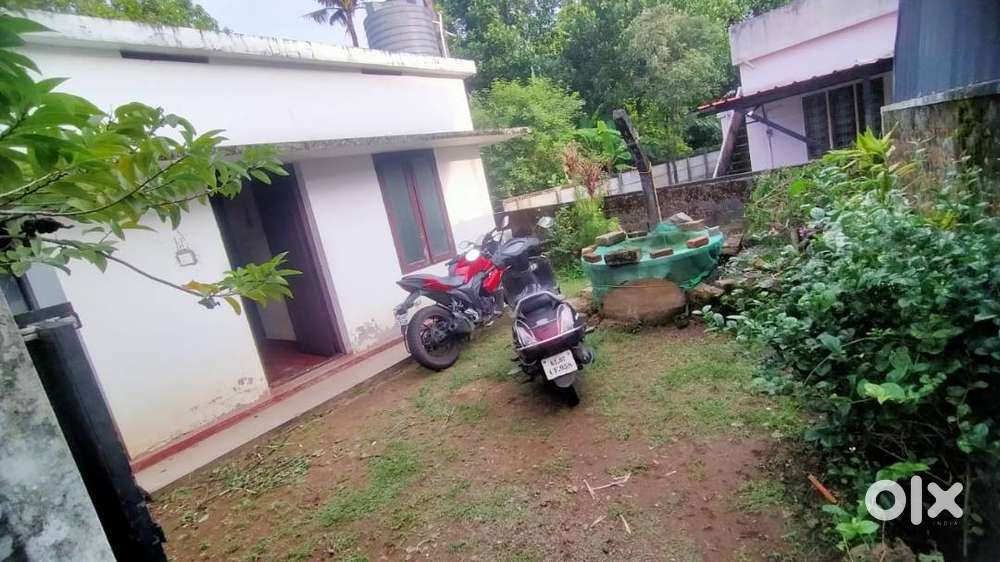 Kizhakke Kadungaloor 2 bhk house for rent