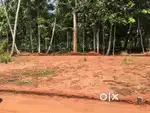 ️Residantial House Plot for Sale - Chani,Kanjiramkulam,Trivandrum