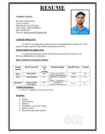 Graduate Fresher Looking for Office Assistant / Data Entry Job