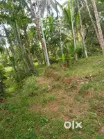 30 cents plot near Craft village , 4 lakhs per cent