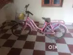 Lady cycle