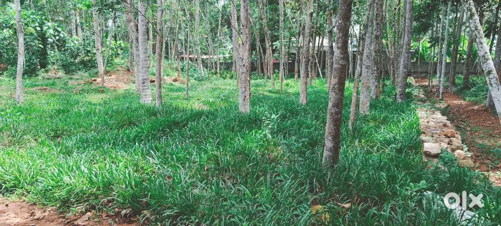 2 Acres in Pirappancode Near MC Road