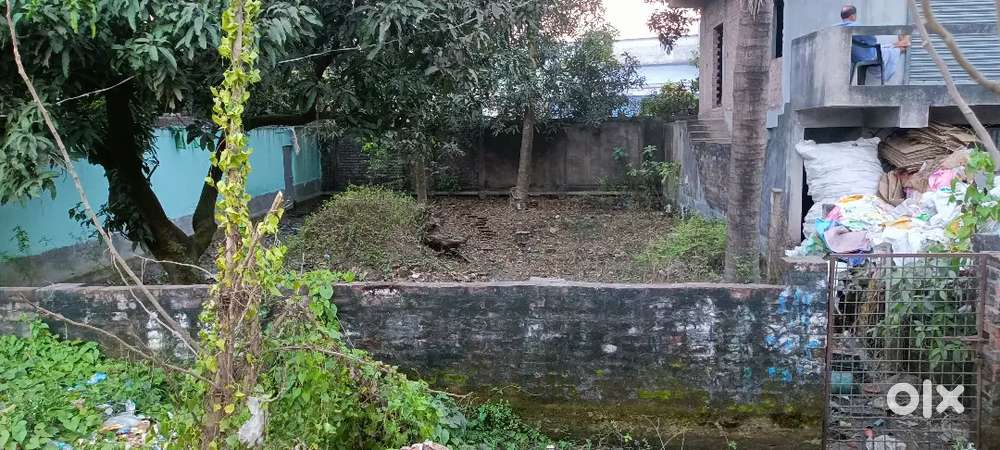 NH12 BARUA BELDANGA নন্দন হিম ঘরের বাঁদিকে।( ভাড়া দেওয়া হবে)