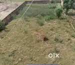 Plot for sale