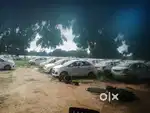 opportunity to invest in very profitable and secure project