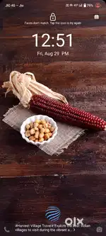 Hyderabadadi Cook at Mehdipatnam