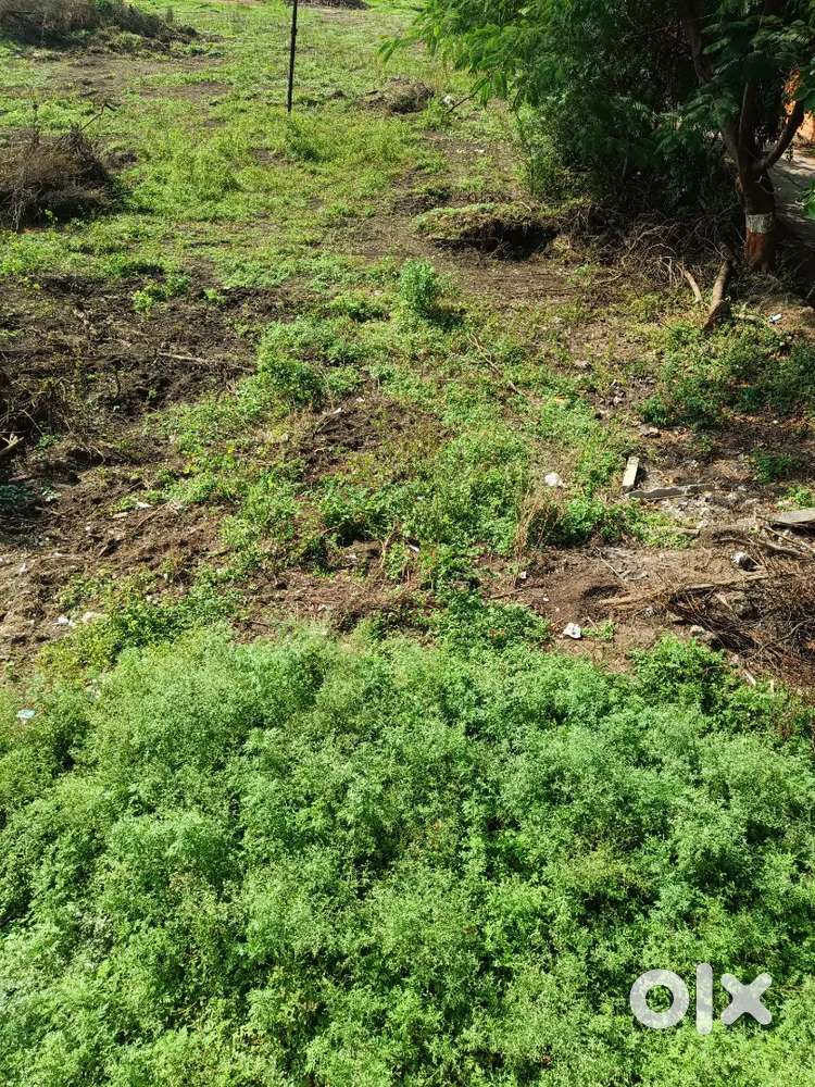 Very good location cementroad drainage line