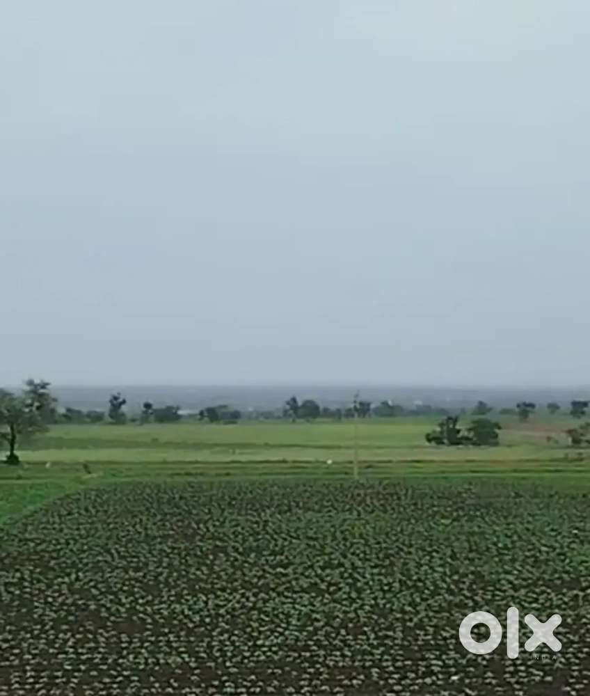 FARM LAND PYALAMADI VILLAGE KODANGAL. BIJAPUR HIGHWAY KODANGAL.