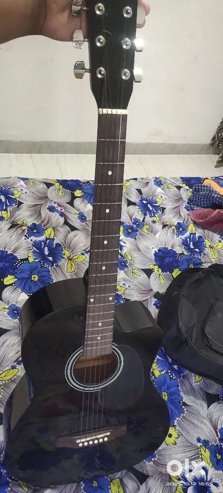 Dzier Guitar brand new