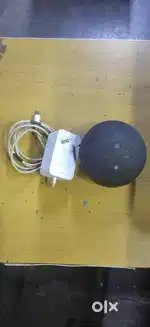 Alexa speaker