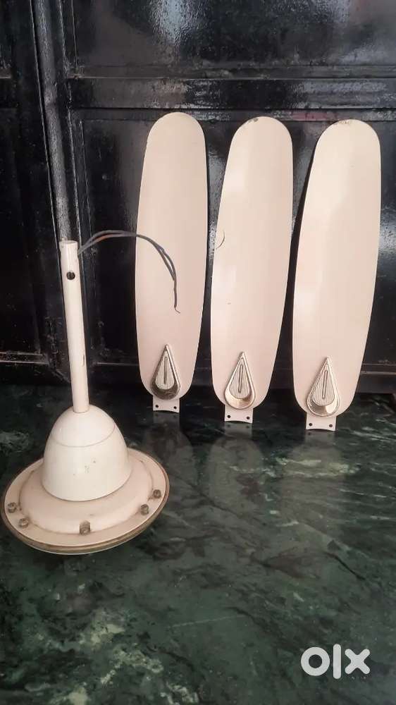 Ceiling fan