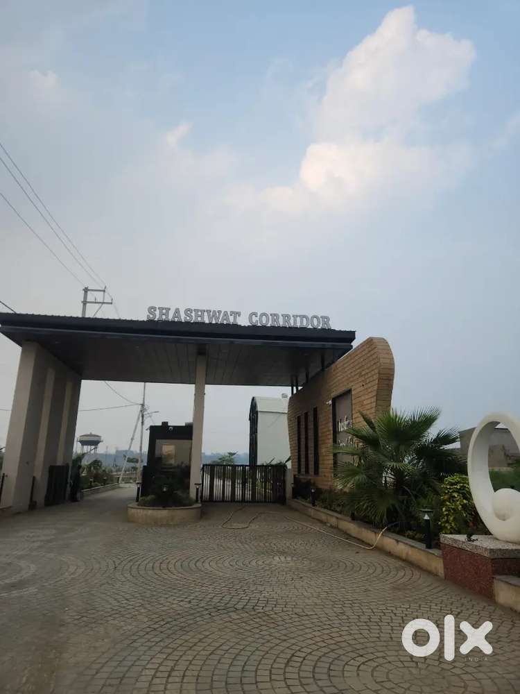 Also available EWS and LIG plots