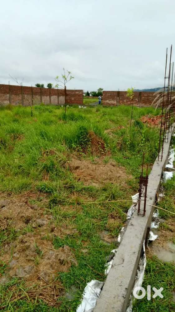 Office Assistant & Field Staff