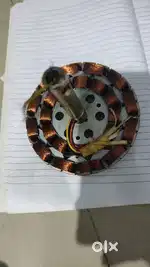 Celine fan coil CELINIG FAN STATOR