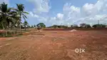 Land for Sale at Pakkam, Kasaragod