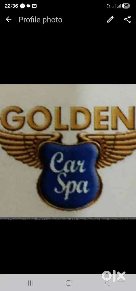 Car wash and car detaling boys need