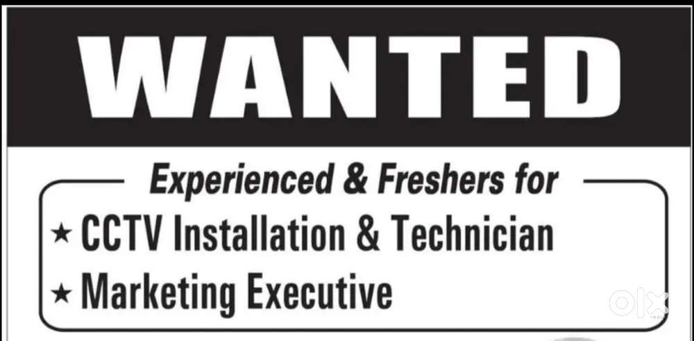 Wanted freshers and experienced