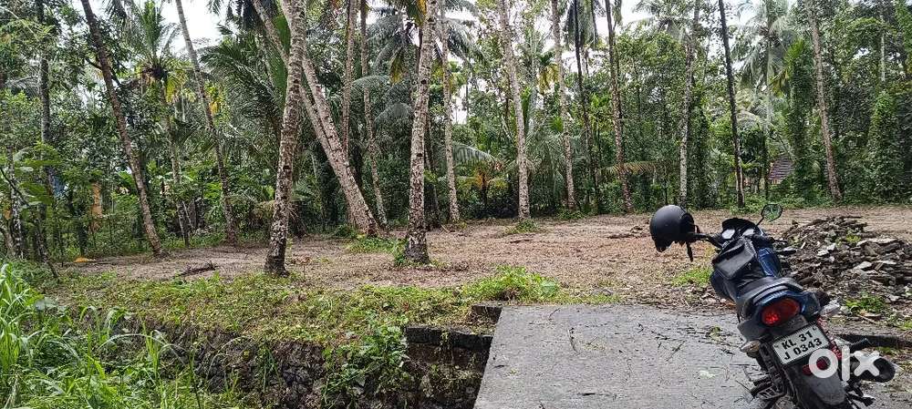 25 cent plote for sale