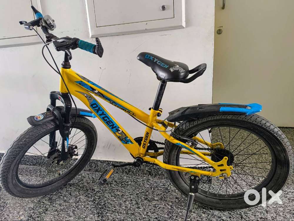 Oxygen Bicycle up for sale