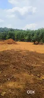 ചേർപ്പങ്കൽ പള്ളിക്ക് സമീപം ഹൗസ് പ്ലോട്ടുകൾ വിൽപ്പനയ്ക്ക്.