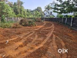 Plot( Dry Land ) near Medical College, Kalamassery