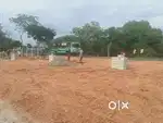 சாணார்பட்டி அருகே மேட்டுக்கடை பஸ் ஸ்டாப் அருகில் வீட்டுமனைகள்