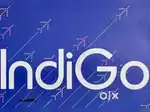Domestic/International Airport jobs ground staff/ticketing /cabin crew