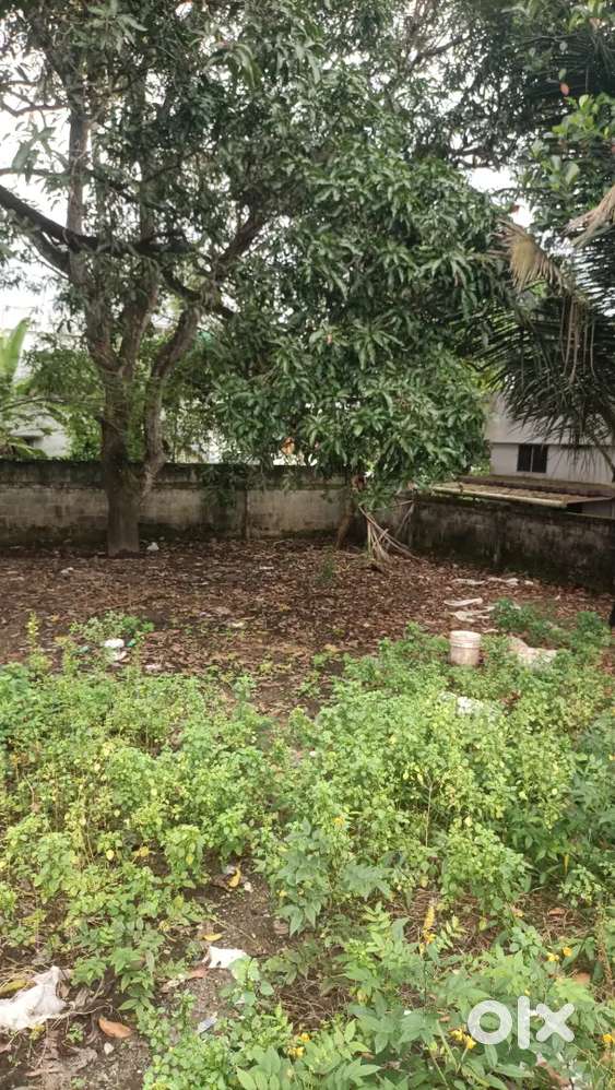 പേരൂർക്കട akg നഗർ 3.65സെന്റ് സെന്റിനു 11ലക്ഷം