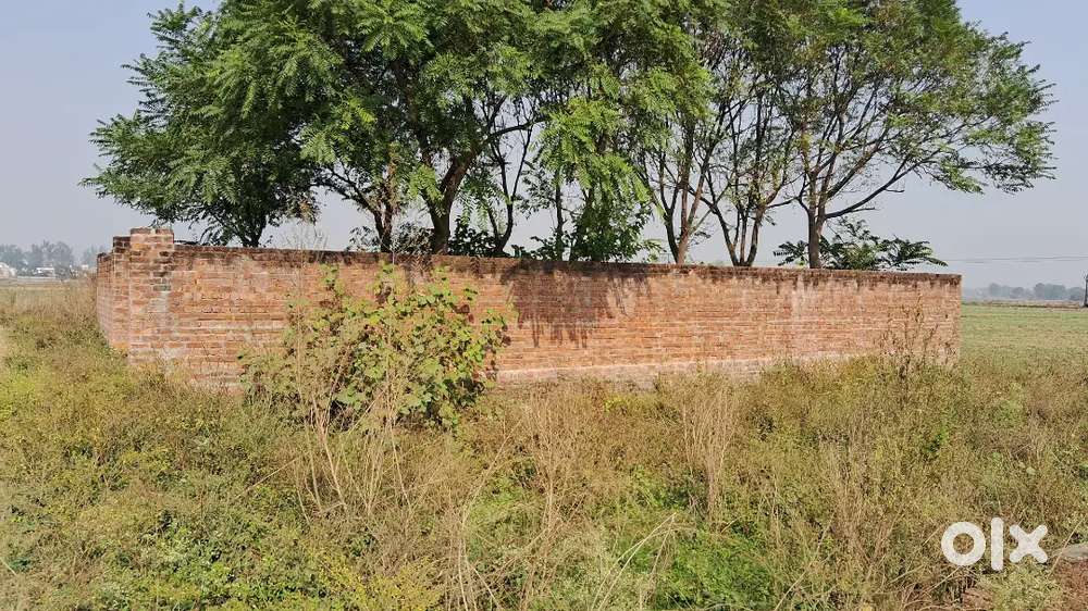 Time pass vala na karna bhut he vadia offer ha la lo jinna lana