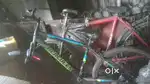 2 cycle bater condicion