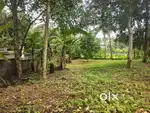Sreekariyam manvila