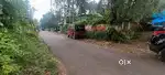 KANINADU / VADAVUCODE PUTHENCRUZ 15 CENT RESIDENTIAL INFOPARK 9.5 KM