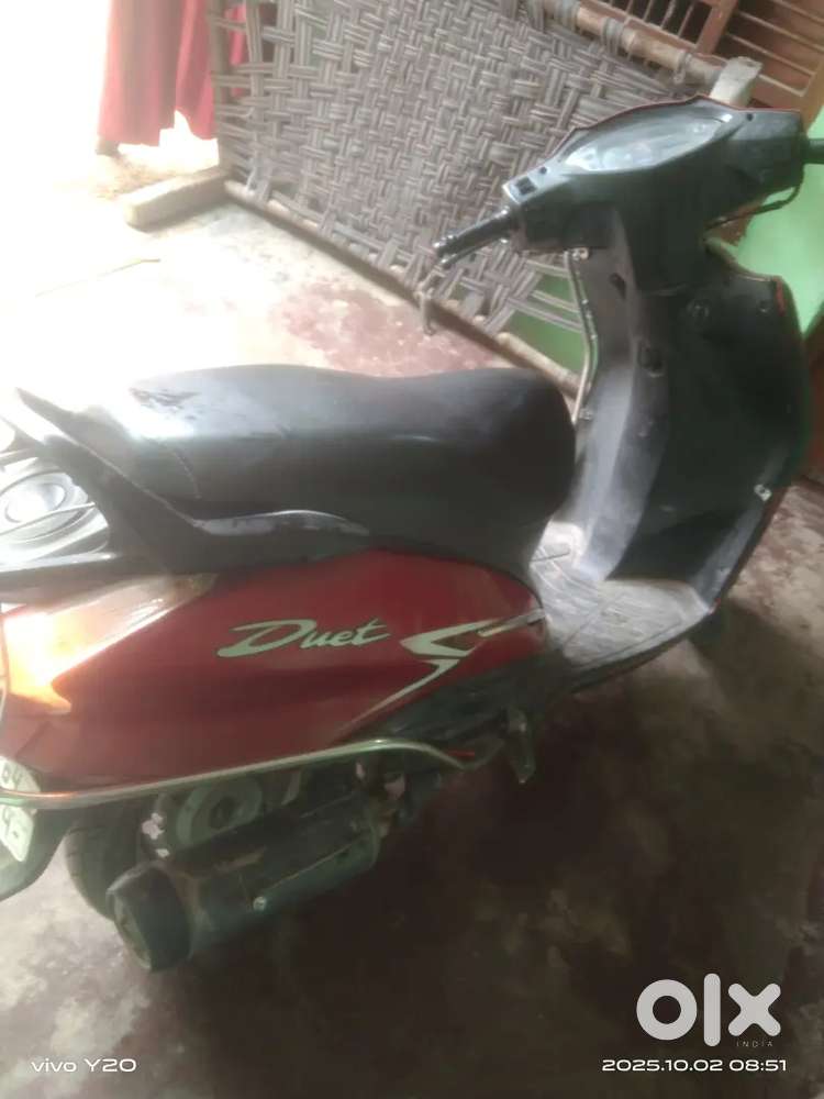 2019 model hai