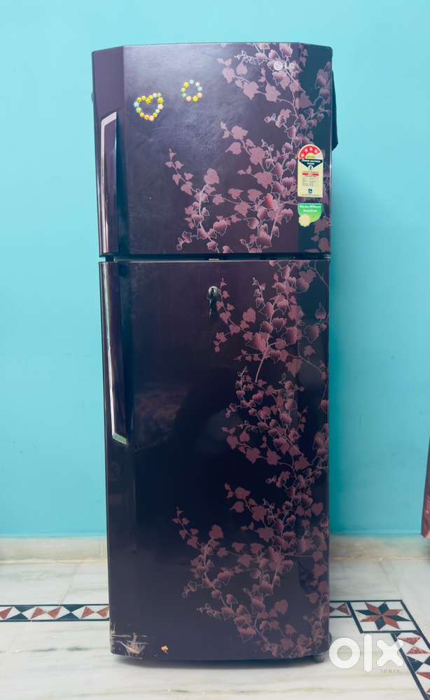 LG Refrigerator (Fridge)