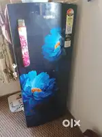 3 month old 207 ltr