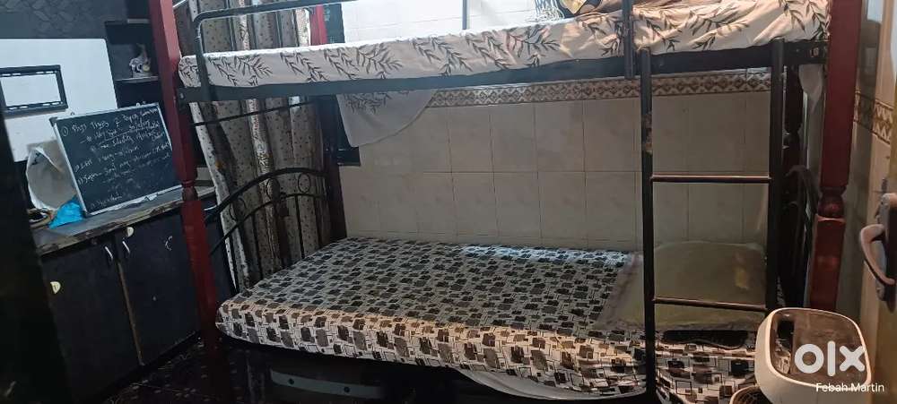 Looking for roommates male or female