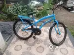Maxmount bicycle