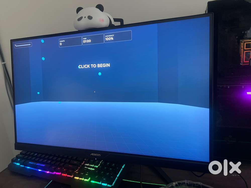 Aorus Monitor 165hz