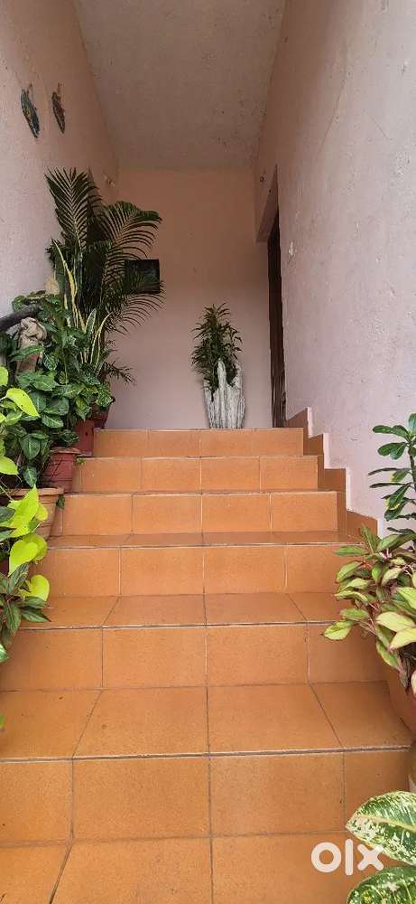 Row villa for rent