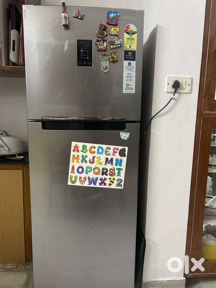Samsung 324 Litre Double Door