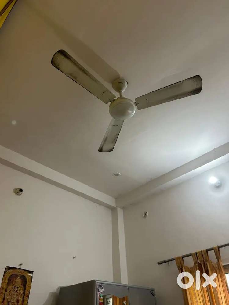 Ground Flor and top 4th floor for rent