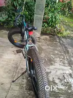 Viva fat tire ger cycle