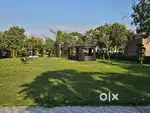 265 Sqyards Plot For Sale in Omaxe Phase 3 New Chandigarh.