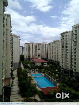 3bhk flat rent